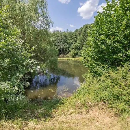 Chalet Pétillant Aux 3 étangs Avec Spa, Sauna Et Véranda Gerbépal