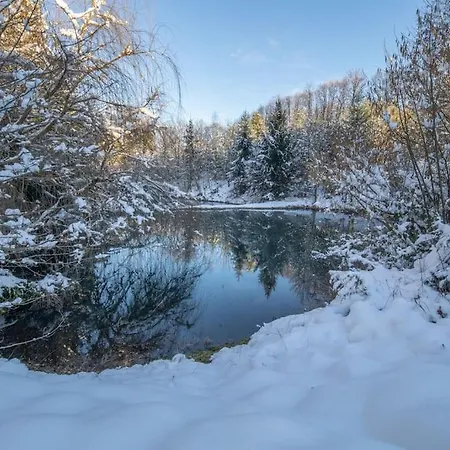 Pétillant Aux 3 étangs Avec Spa, Sauna Et Véranda Gerbépal