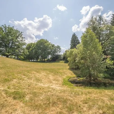 Pétillant Aux 3 étangs Avec Spa, Sauna Et Véranda * Gerbépal