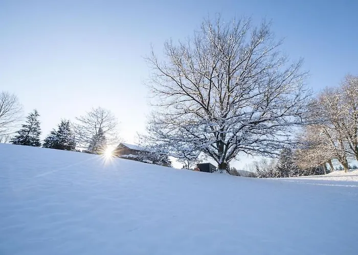 Petillant Aux 3 Etangs Avec Spa, Sauna Et Veranda *