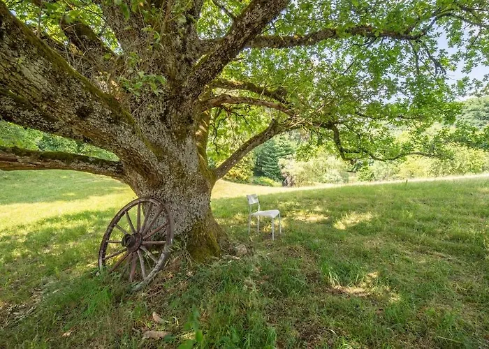 Petillant Aux 3 Etangs Avec Spa, Sauna Et Veranda *