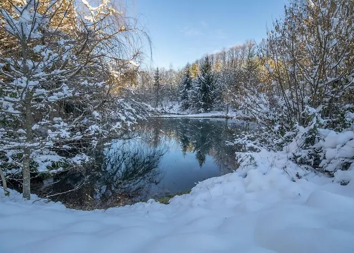 Petillant Aux 3 Etangs Avec Spa, Sauna Et Veranda Gerbépal